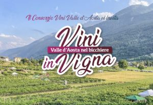 Vini in Vigna