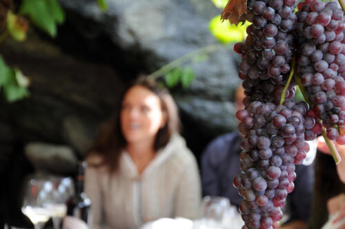 Pranzo in vigna